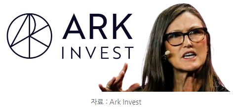 '파괴적 혁신 투자'의 대표적 사례, 캐시우드의 아크 인베스트.